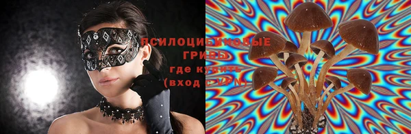 стафф Алзамай