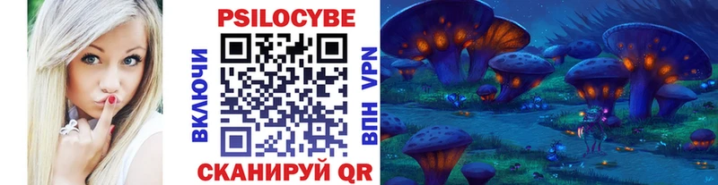 Галлюциногенные грибы Psilocybine cubensis Владимир